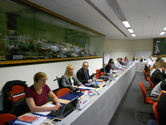 Brisel, konsultativni sastanak o invalidnosti i razvoju, april 2013